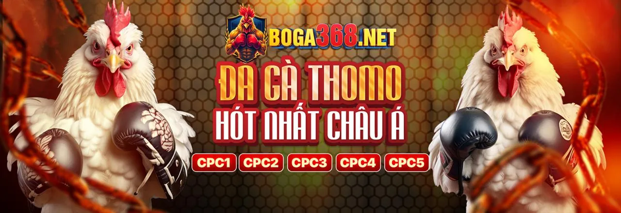 Đa dạng trò chơi sòng bạc fly88 slot